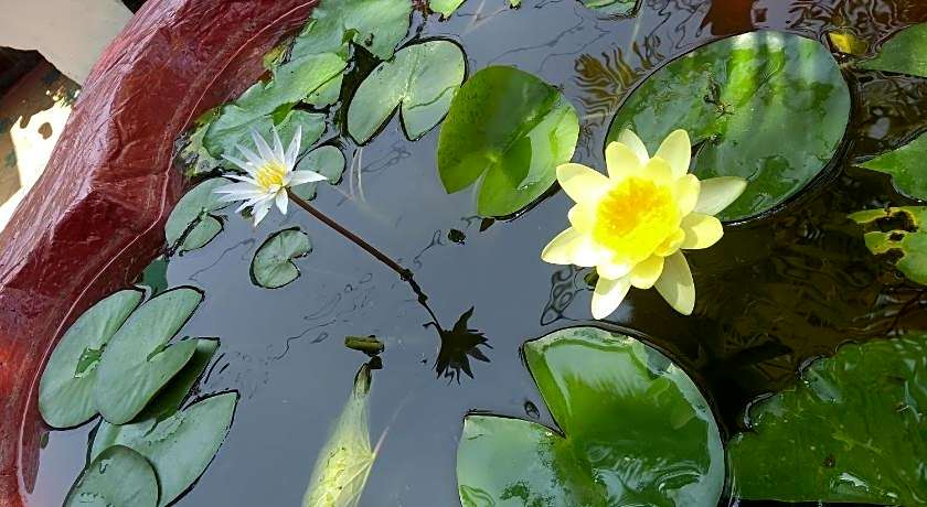 Mary Land Homestay, Near Trivandrum Airport, Beach