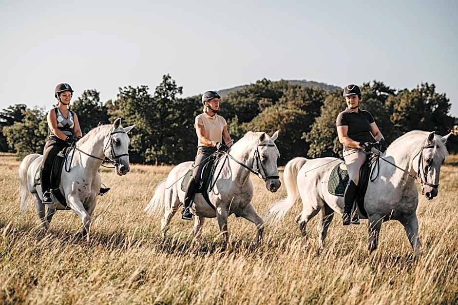 Hotel Maestoso - Lipica