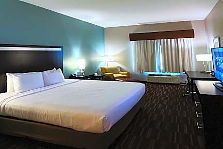 1 King Bed Non-Smoking