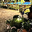 Fattoria Palazzeta - Pet & Family Friendly