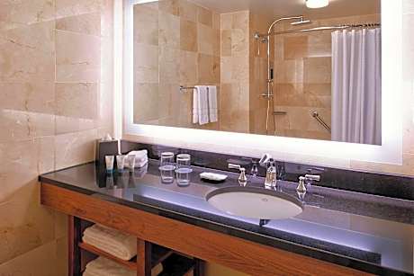 Traditional Room, 1 King Bed (Mobility/Hearing Access, Roll-In Shwr) (1 King Bed)