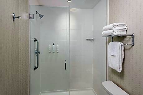 King Suite with Bathtub and Sofa Bed - Mobility Access/Hearing Accessible