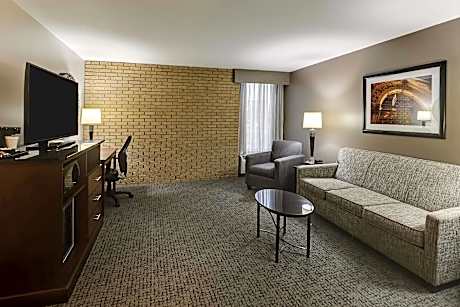 King Suite with Sofa Bed - Accessible, Tub