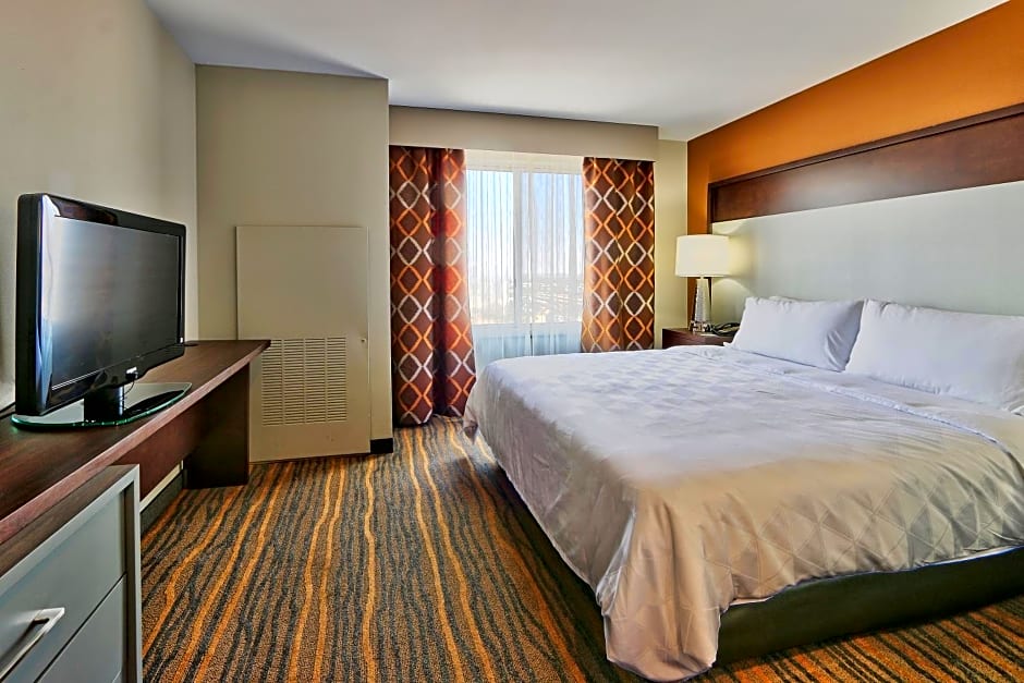 Holiday Inn Hotel and Suites Albuquerque - North Interstate 25