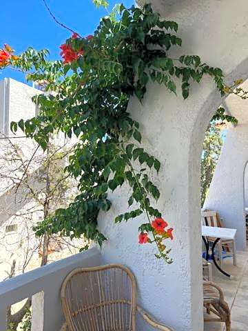 Thalia Bloom Villa Apartments