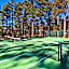 Worldmark Pinetop