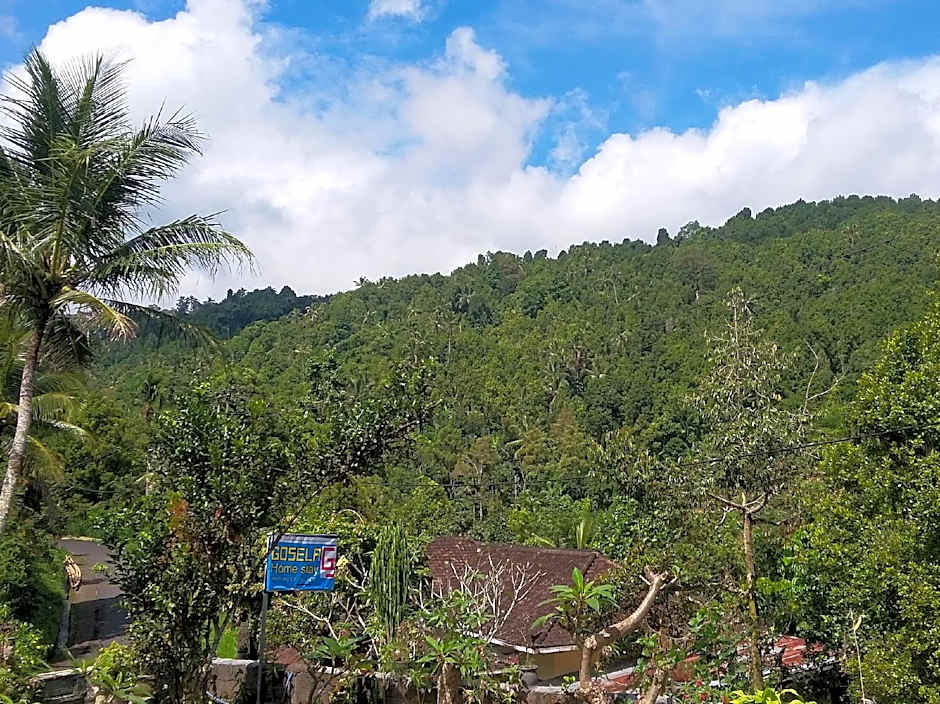 Gosela Homestay