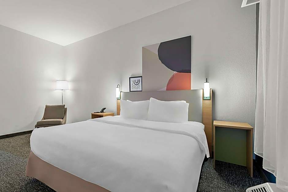 Spark by Hilton Tupelo