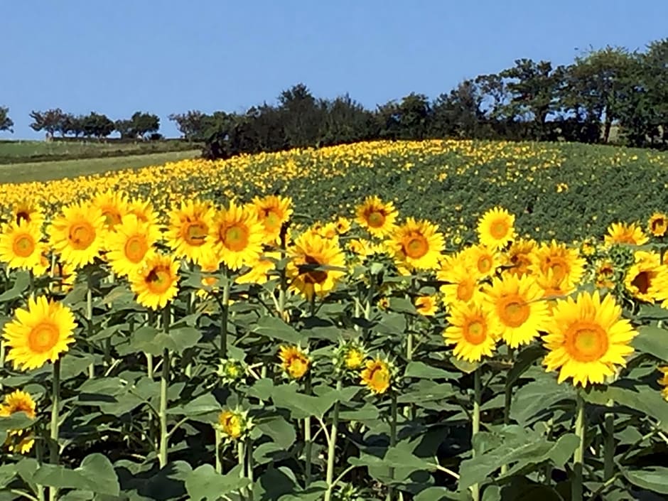 Saint Sever des Pyrenees