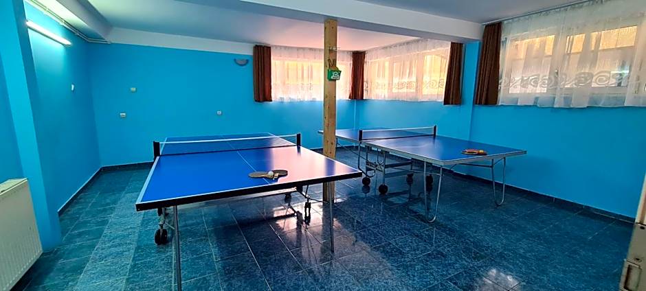 Pensiunea Aurora - Great hostel Voineasa