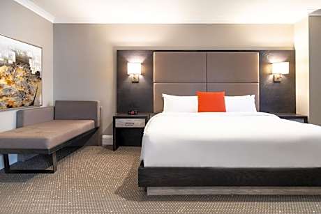 Standard Queen Room with River View