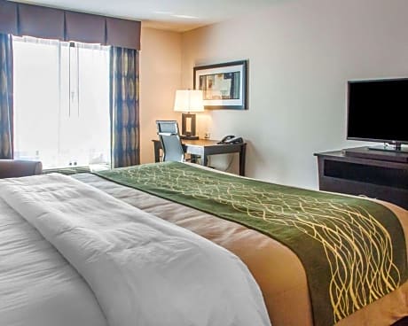 2 Queen Beds, Nonsmoking