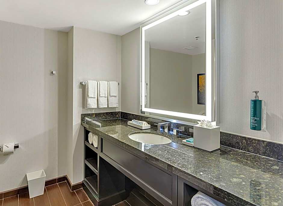 Hilton Miami Downtown