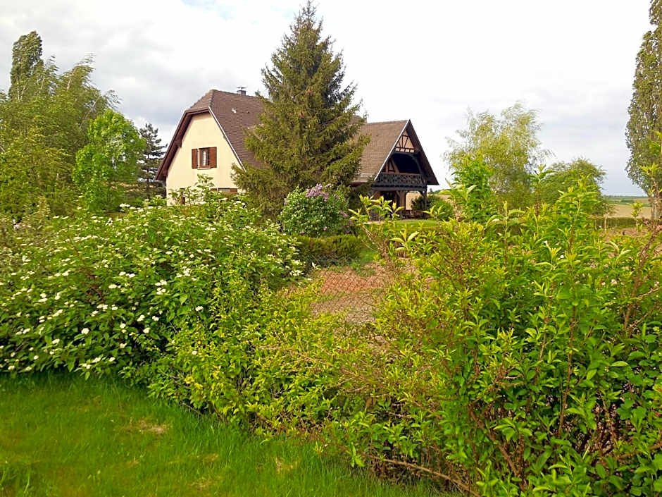 Appartement charmant à Hochfelden - 100 m² et parking gratuit