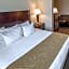 Comfort Suites University Area