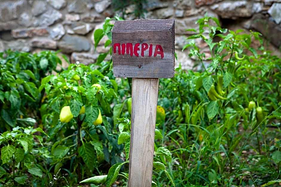 Montanema Handmade Village