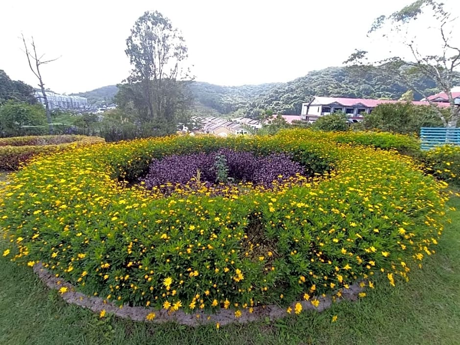 Dear Dino Villa Cameron Highlands