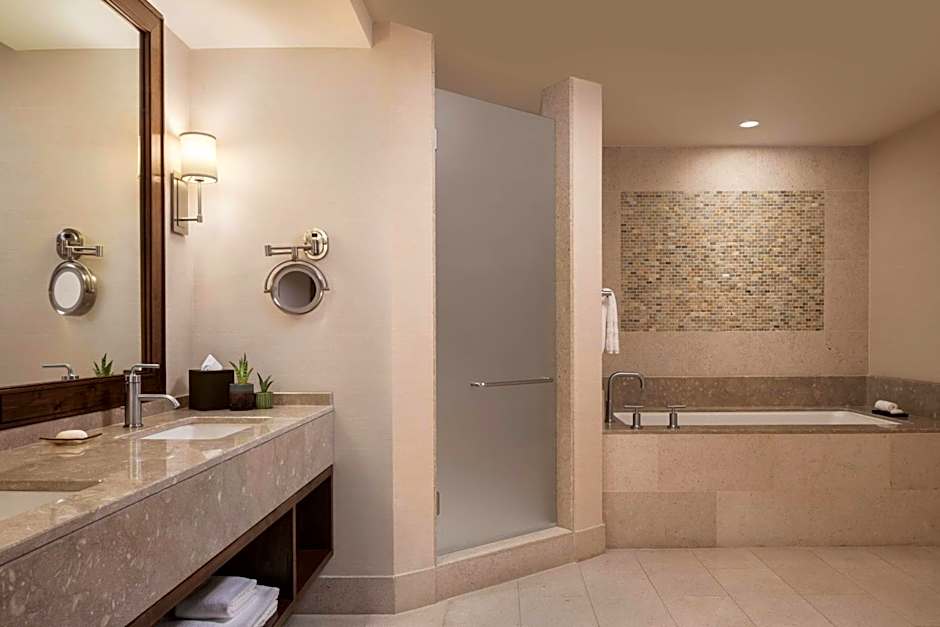 The Ritz-Carlton Dove Mountain