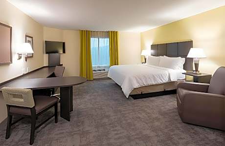 1 King 1 Bedroom Suite