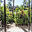 Beachfront Terraces with Onsite Reception & Check In