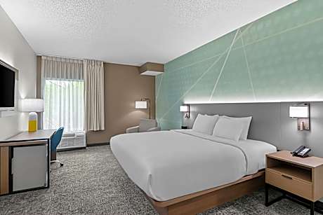 1 King Bed, Nonsmoking