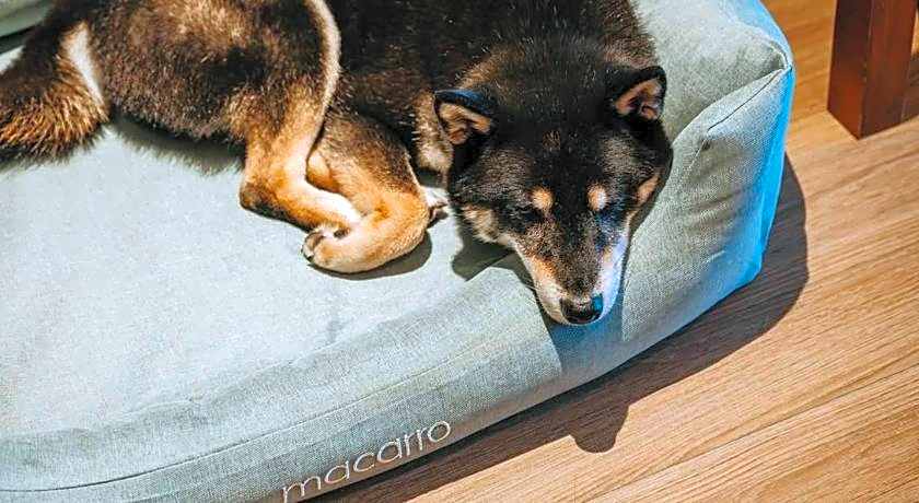 Episode Daan Taipei, JdV by Hyatt Hotel