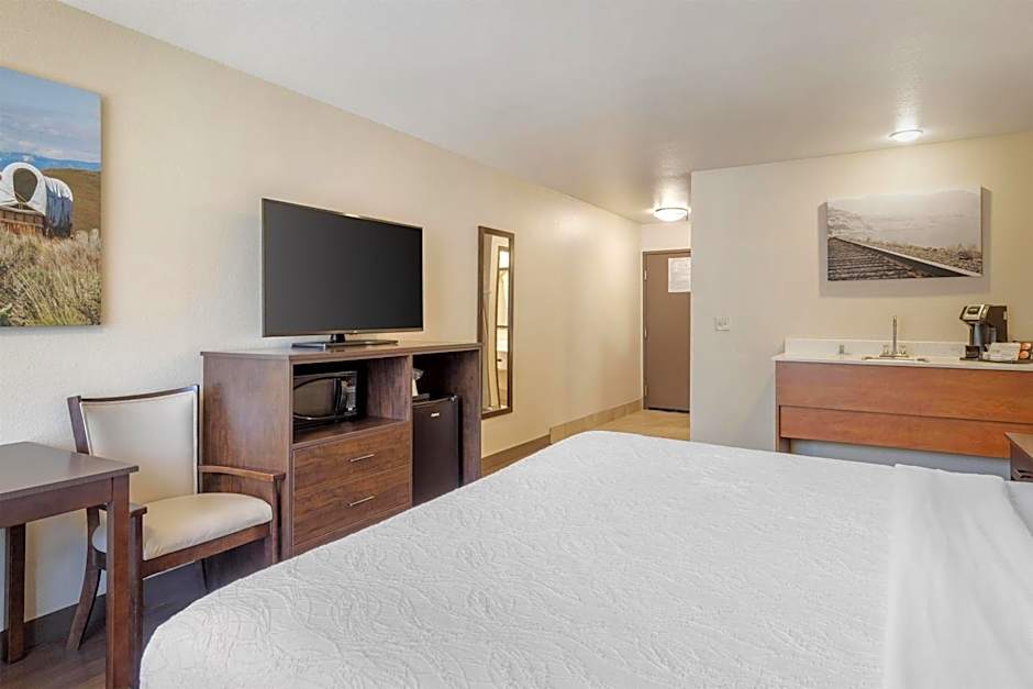 Photo 1 of 4 of 1 King Bed, Pet-Friendly