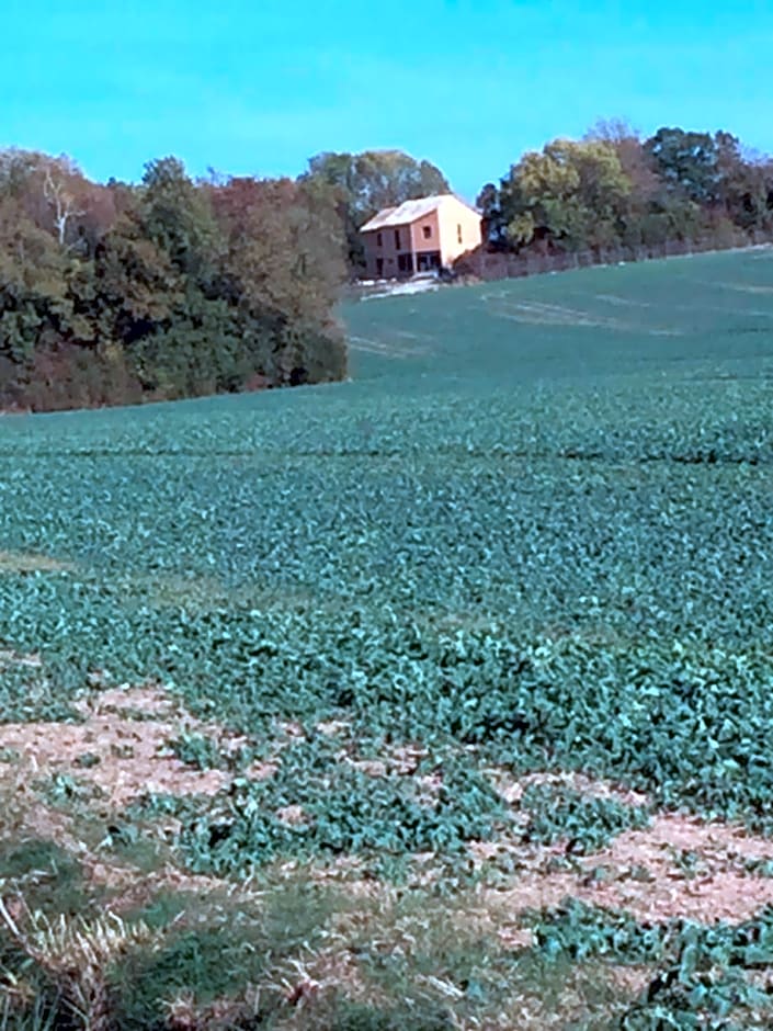 Maison écologique en pleine nature