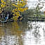 péniche Ino Lefkothea II chambre d'hôtes