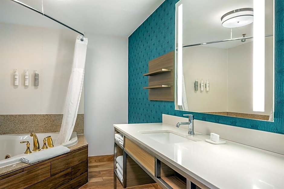 Hilton Garden Inn Wisconsin Dells