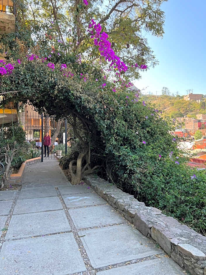 Casa Diez-59 Guanajuato Capital
