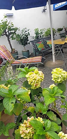 Triple Room with Garden View
