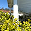 Le Village Sarzana
