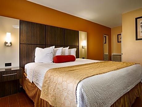 1 King Bed Non-Smoking Microwave Fridge Wi-Fi