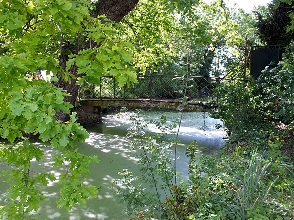 Château de Nazé Vivy-Saumur