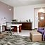 Hilton Garden Inn Tampa Suncoast Parkway