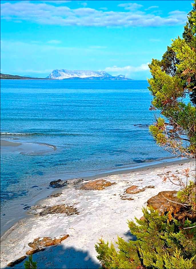 Appartamenti Le Magnolie