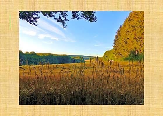 Grünvogels Landgasthof zum Grünen Baum