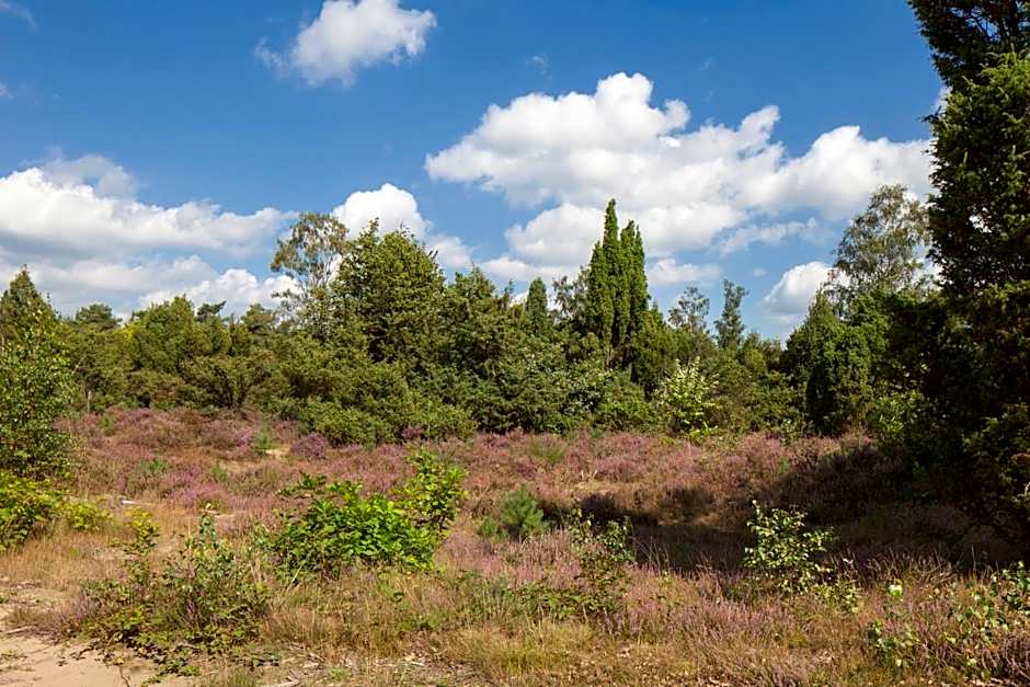 Fletcher Hotel Restaurant Sallandse Heuvelrug