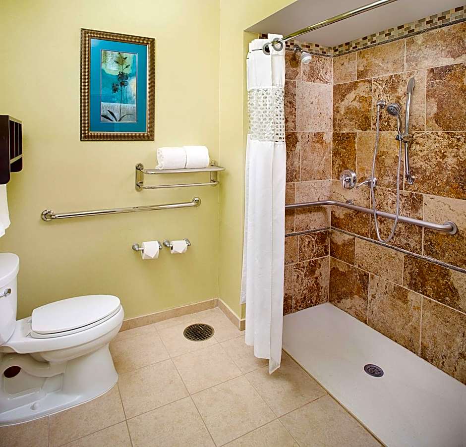 Hampton Inn By Hilton & Suites Dallas/Lewisville-Vista Ridge Mall, Tx