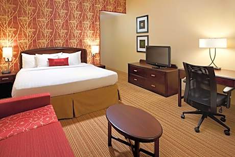 Guestroom King with Sofabed