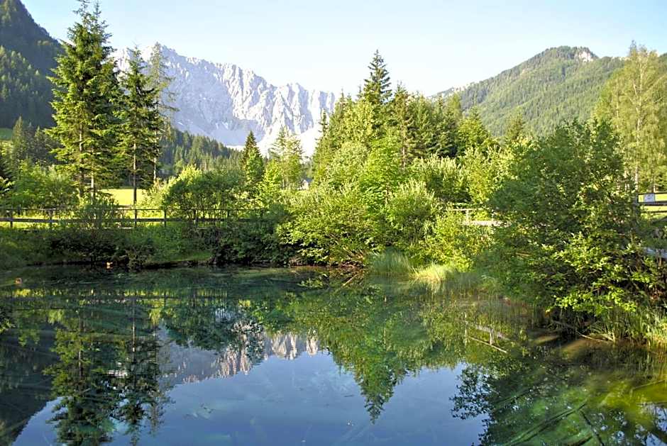 Bed&Breakfast Lausegger