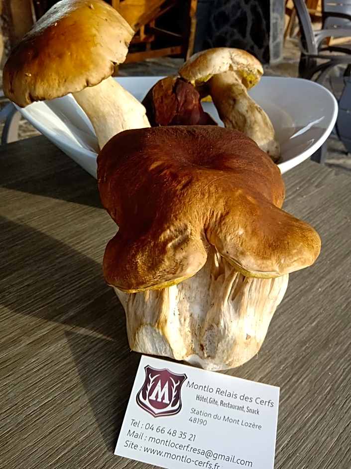 MONTLO RELAIS DES CERFS