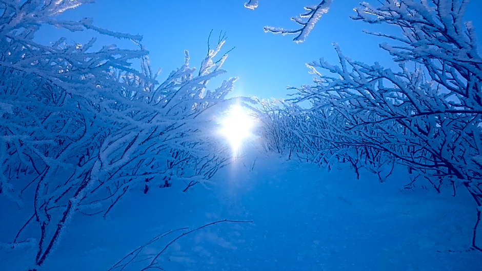 Chata z bali Bukowina