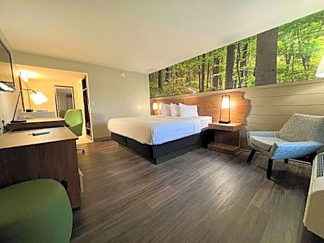 King Theme Room with Walk In Shower - Non-Smoking