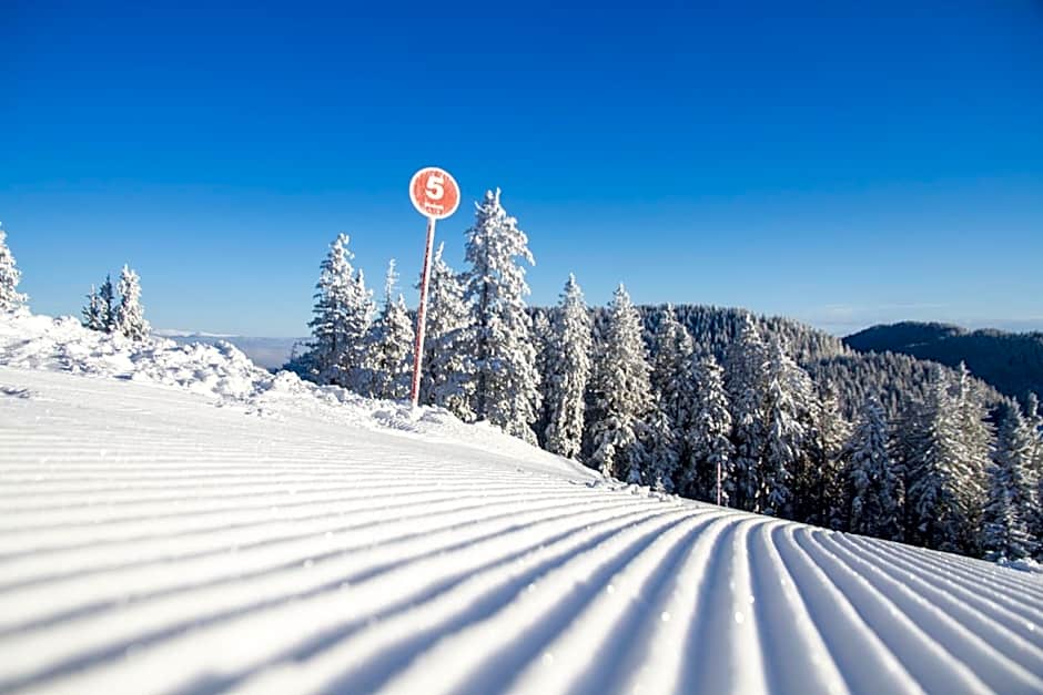 Wellness Hotel Montis