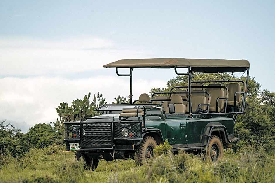 Addo Elephant Safari Lodge - Bellevue Forest Reserve