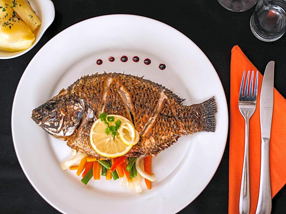 Pullman Lubumbashi Grand Karavia