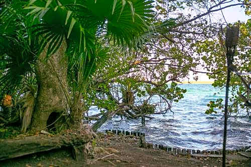 Hotel Buenavista Bacalar Jungle Experience