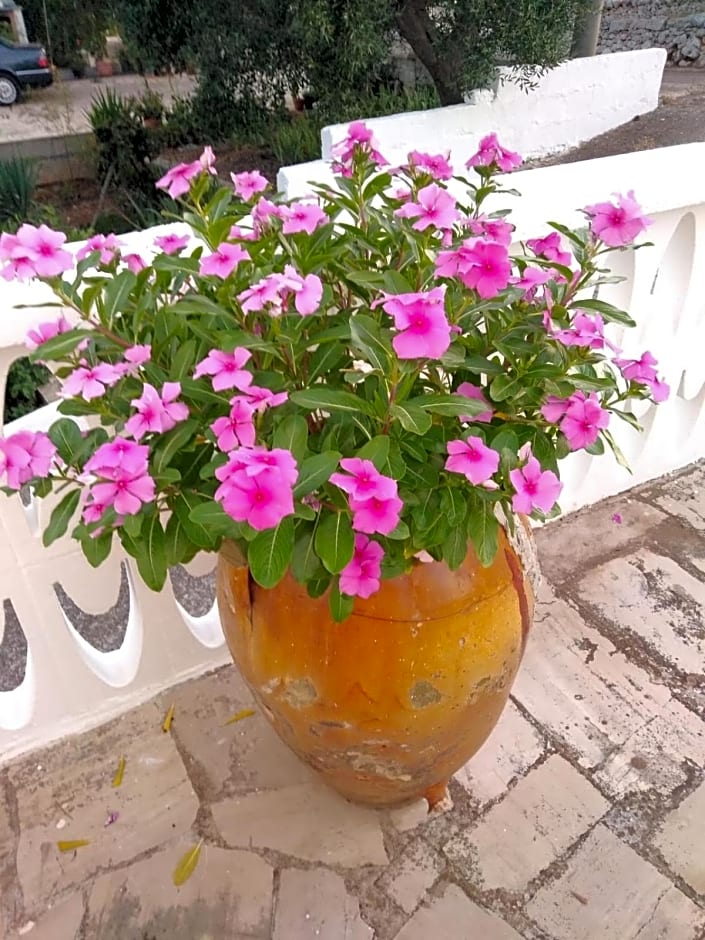 Dimora Sofia – Monopoli, LA